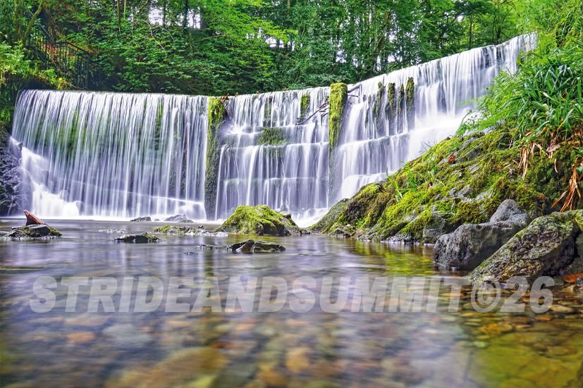 Stock Ghyll Force fridge magnet