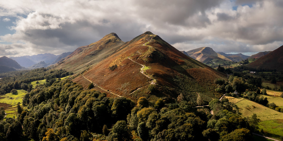 Catbells Postcard A6