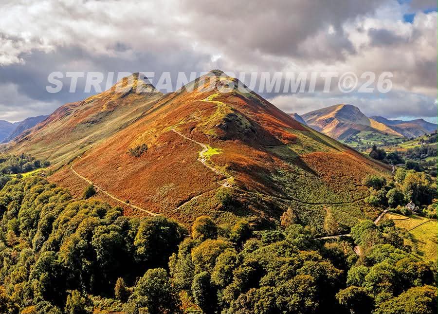 Catbells Postcard A6