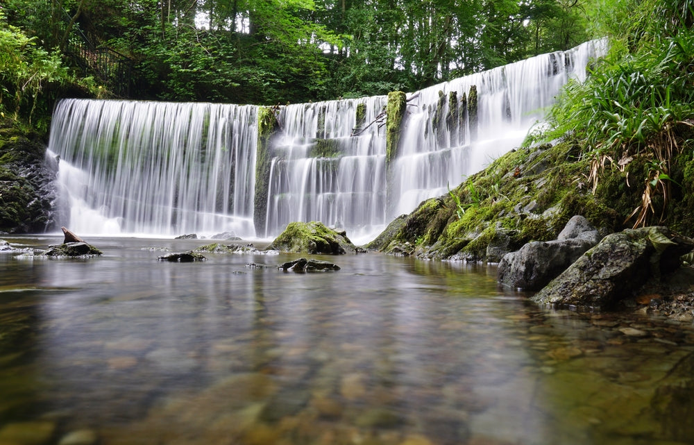 Stock Ghyll Force Fridge magnet